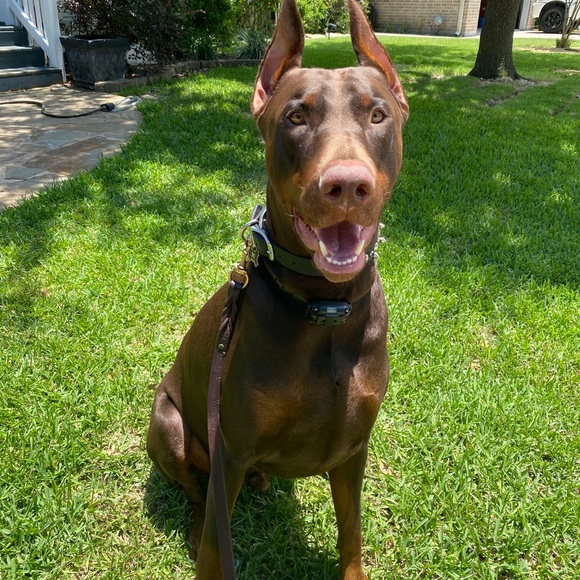 Heyyyyyy!! - Picture 9 of 16